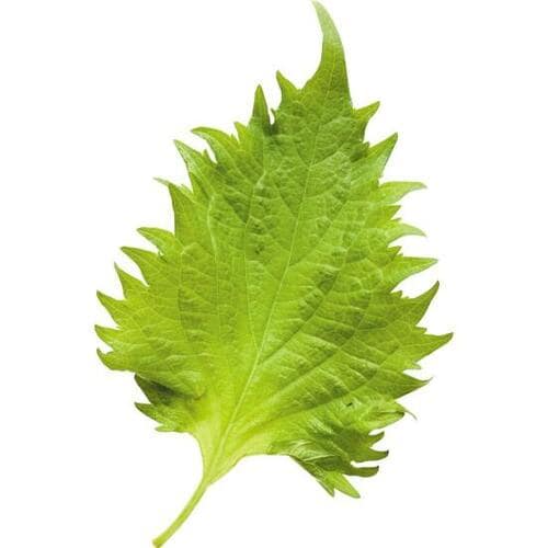 【Q6】生臭さが気になります！食べやすくする調味料は？ イメージ3