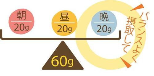 ポイント2:毎食20gまんべんなくとりましょう!