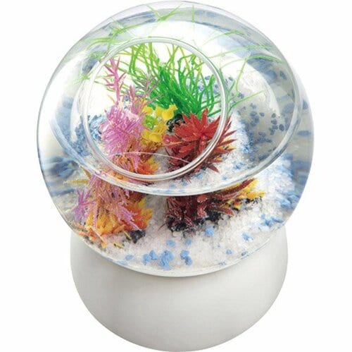 机の上にも置いておける小型がウリのカワイイ水槽 イメージ3