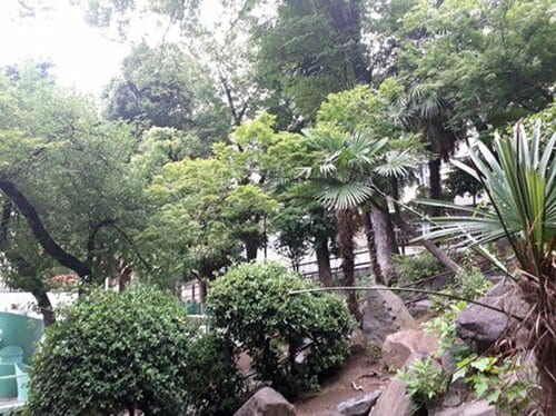 【B評価】風に対する弱さが惜しまれる1台 イメージ