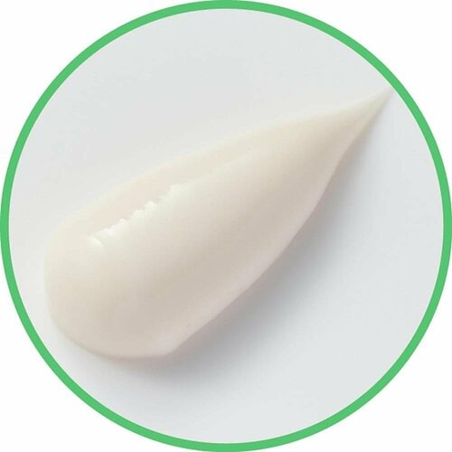 歯磨き粉おすすめ Blessing 歯磨き堂 薬用フレッシュ ペースト イメージ2