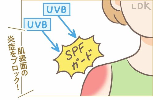 SPFがガード:肌を炎症させるUVB SPF30前後の日焼け止めおすすめ イメージ