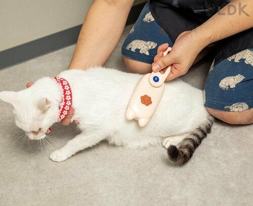 フル充電で70〜90分程度使用できる 猫用ミストブラシおすすめ イメージ