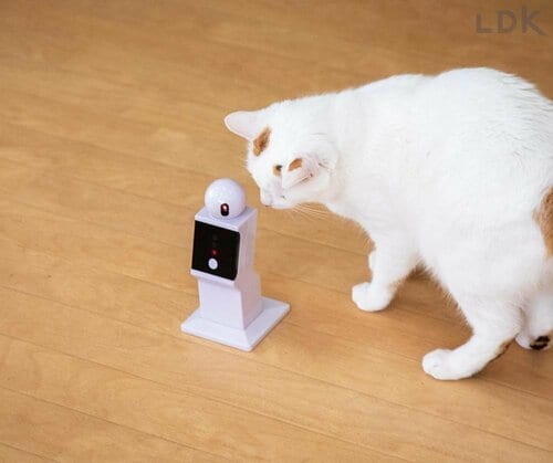 照射部を覗き込むネコもいて心配 猫用おもちゃおすすめ イメージ