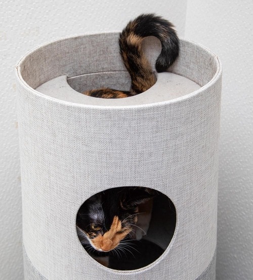 芯材は紙だけどしっかりした作り キャットタワーおすすめ イメージ