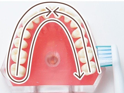 【電動歯ブラシの動かし方】1本ずつブラシをスライドする 安い電動歯ブラシおすすめ イメージ