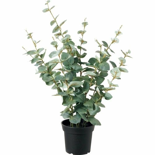 イケア「フェイカ 人工観葉植物/ユーカリ」 イメージ