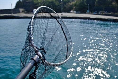 網の形は大きく2種類がある イメージ