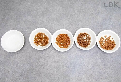 わんこの食いつきよし ドッグフードおすすめ イメージ