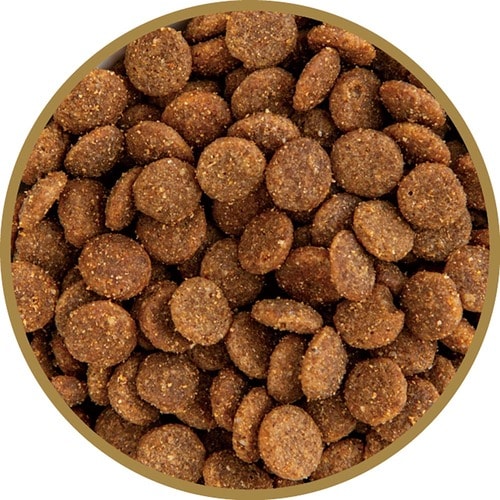 猫用ドライフードおすすめ レッドハート キアオラキャットフード カンガルー イメージ2