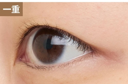 一重 ビューラーおすすめ イメージ