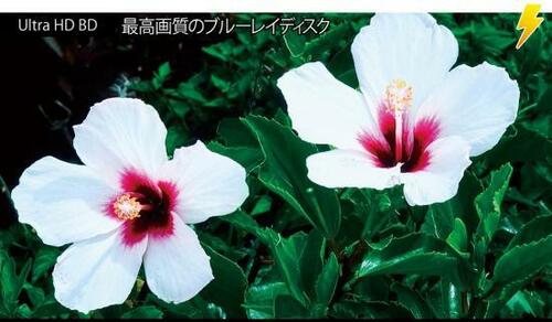 東芝「REGZA X9400シリーズ」4