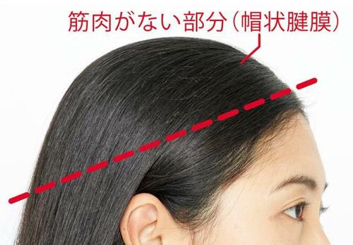 正しい頭皮ケアの方法は?