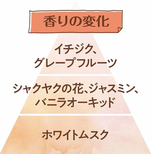 香りの変化 香水おすすめ イメージ