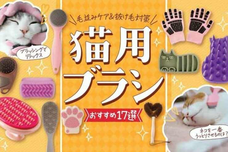 猫用ブラシのおすすめ17選。毛取り&リラックス度を比較