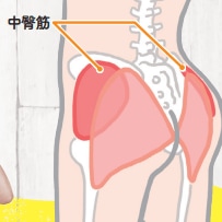 →外側の中臀筋を動かしましょう! ズボラストレッチおすすめ イメージ