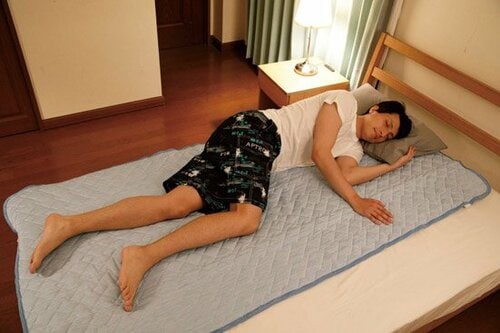 【A評価】ひんやり、なめらか暑い日も快眠!「ナイスデイ」 イメージ