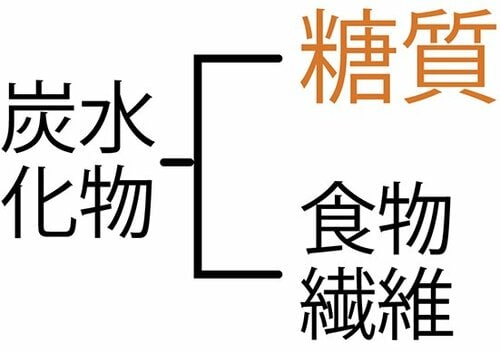 炭水化物は、糖質と食物繊維に分かれているという画像