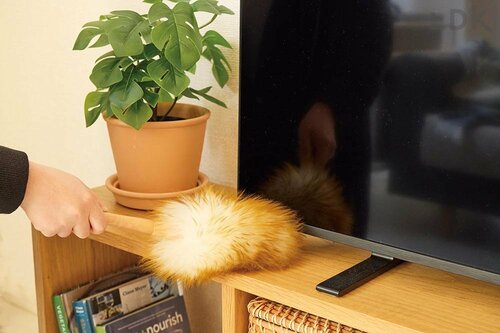 テレビ台はスタンドタイプにしてホコリ掃きから解放！ イメージ