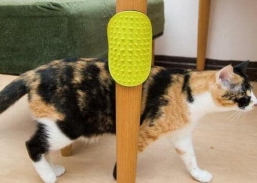 プラッツ「2Wayラバーブラシ＆スクラッチャー」 イメージ2