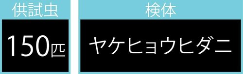 48時間後にシートが捕獲したダニの数で評価 ダニ取りシートおすすめ イメージ