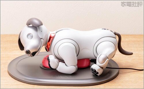 まるで本物の犬のように触れ合える！ ペットロボットおすすめ イメージ9