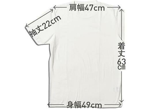 【Ｓ評価】スーピマTシャツは肌触りのよさが圧倒的でした！  ユニクロ無地Tシャツおすすめ イメージ