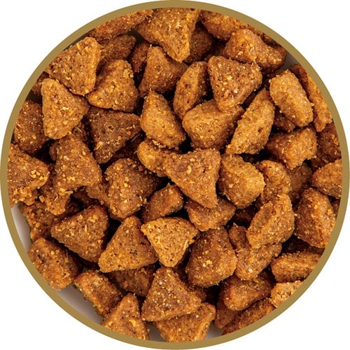 下部尿路ケア・キャットフードおすすめ アース・ペット ファーストチョイス Choice S おしっこのケアに 成猫1歳以上 イメージ2