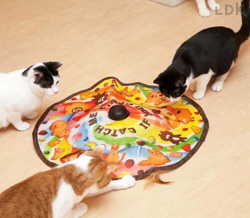 スイッチを入れると多くの猫がエキサイト！ 猫用おもちゃおすすめ イメージ