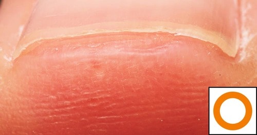 切れ味 電動爪切りおすすめ イメージ