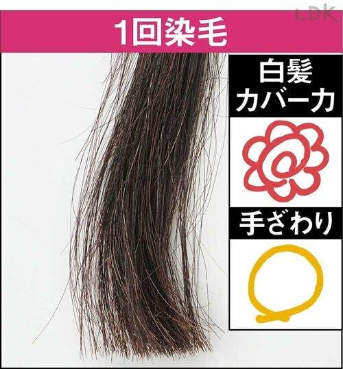 1回染毛 白髪染めトリートメントおすすめ イメージ