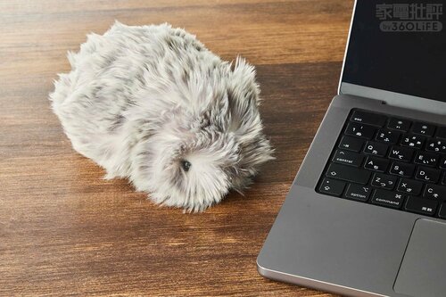 多少動くので落下には注意！ ペットロボットおすすめ イメージ