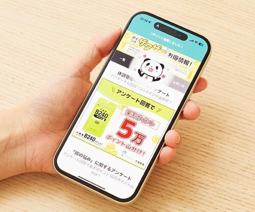 必要に応じて活用すればポイントが貯まる! 楽天ポイントのお得技おすすめ イメージ