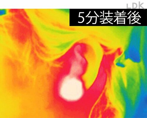 5分装着後 耳に貼るカイロとは?おすすめ イメージ