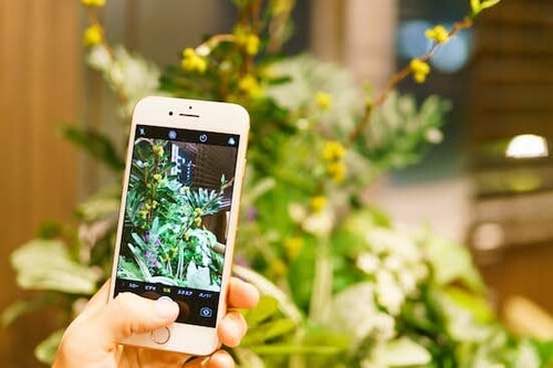 iPhone 6s、7、83世代の画質を比較します