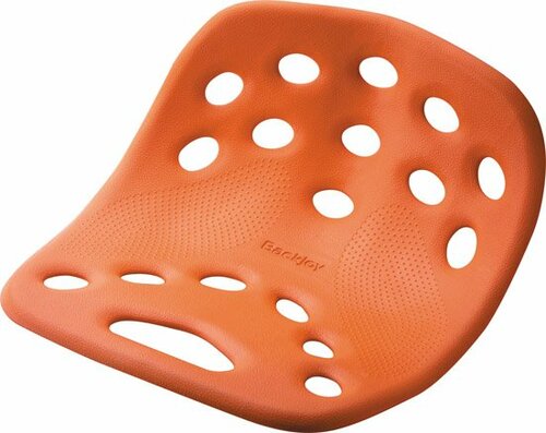 Backjoy:Posture Plus:座布団