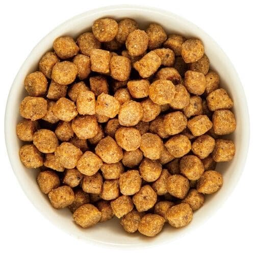 子犬用ドッグフードおすすめ ベッツ・チョイス・ジャパン セレクトバランス パピー チキン 小粒 子犬・母犬用 イメージ2