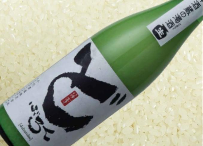 【目利きが選ぶ日本酒】まるで粥酒！千代酒造 「どぶろく 生」はお米を味わう1本です｜日本酒完全ガイド