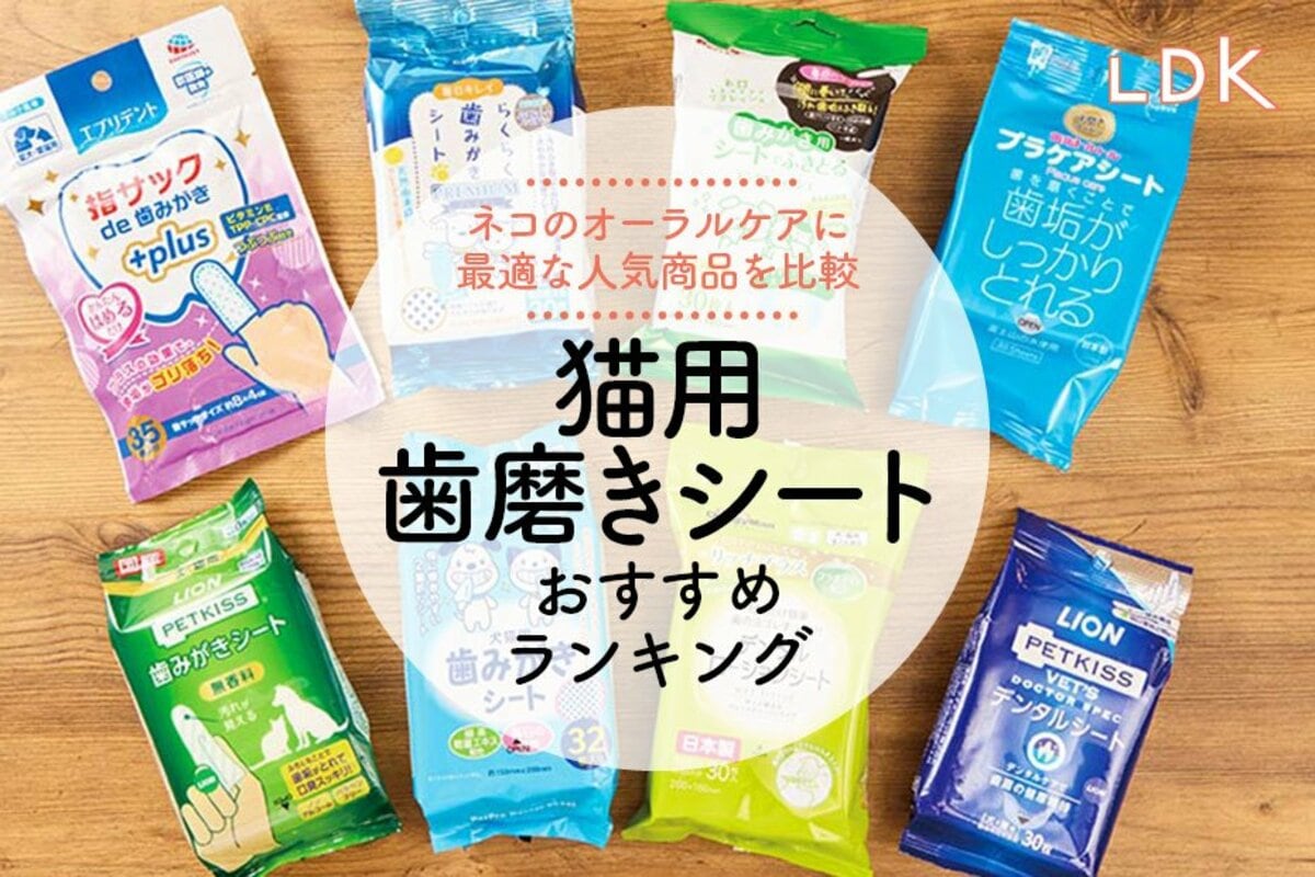 2025年】 猫用歯磨きシートのおすすめランキング8選。口臭ケアができる
