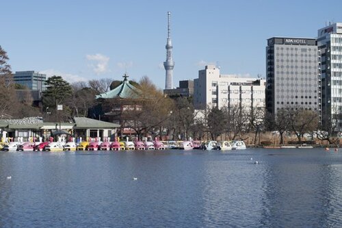風景撮影で遠景の解像力をチェック!