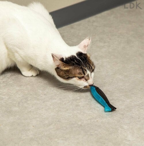 プラ製だから耐久性は高い 猫用おもちゃおすすめ イメージ