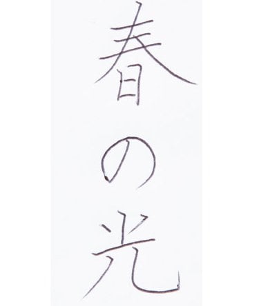 13位: [13位] ガリガリと硬めの書味 イメージ2