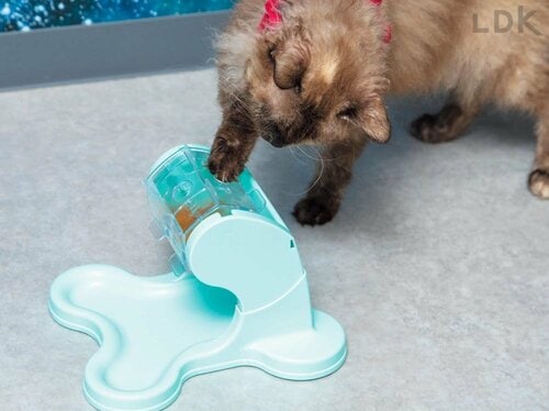 フードをゲットできた達成感を味わいやすい 猫用おもちゃおすすめ イメージ