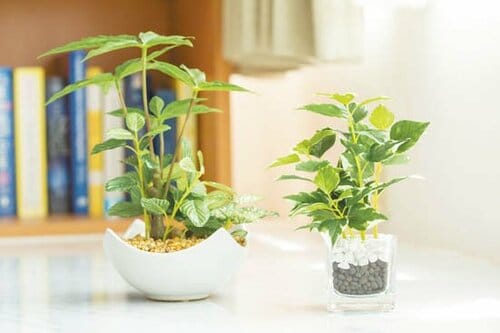 6位: 【6位】他店なら2万越え!華やかなフェイクグリーン イメージ3