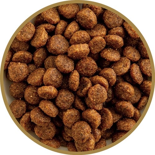 猫用ドライフードおすすめ ワールドプレミアム ハッピーキャット アダルト ファームダック イメージ2