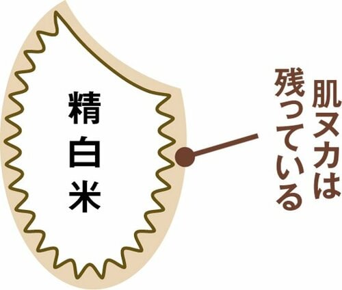 おいしくない無洗米の原因はヌカ米を傷つけるのがおいしくなるコツ