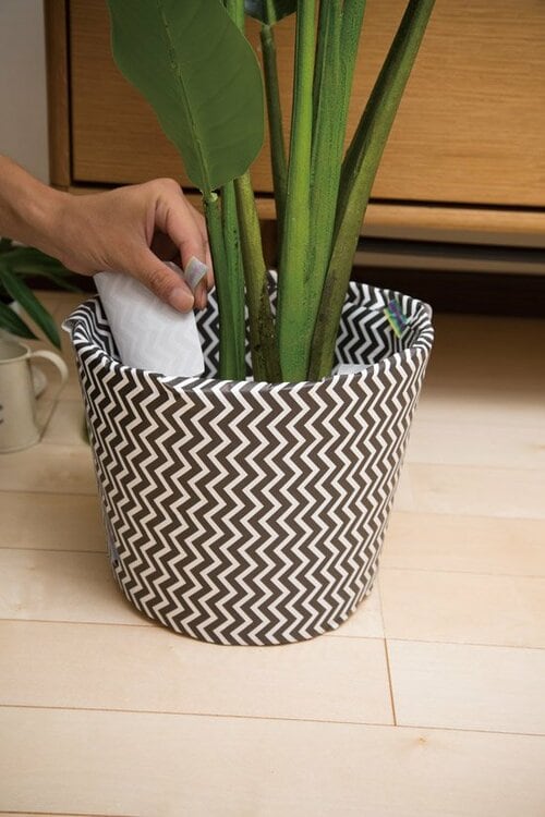 インテリアに植物を取り入れてみよう