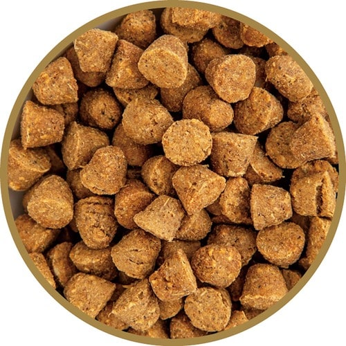 猫用ドライフードおすすめ ファンタジーワールド オーブンベークド トラディション アダルト フィッシュ イメージ2