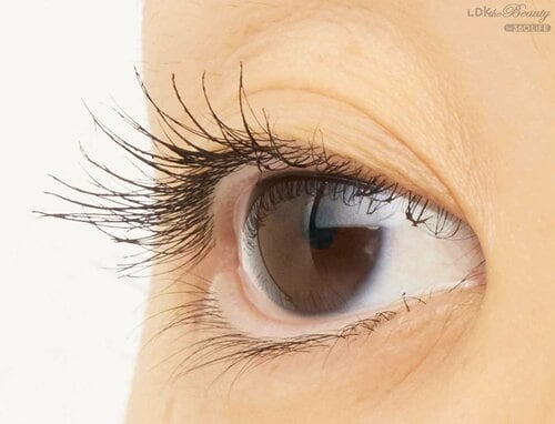 仕上がり マスカラおすすめ イメージ