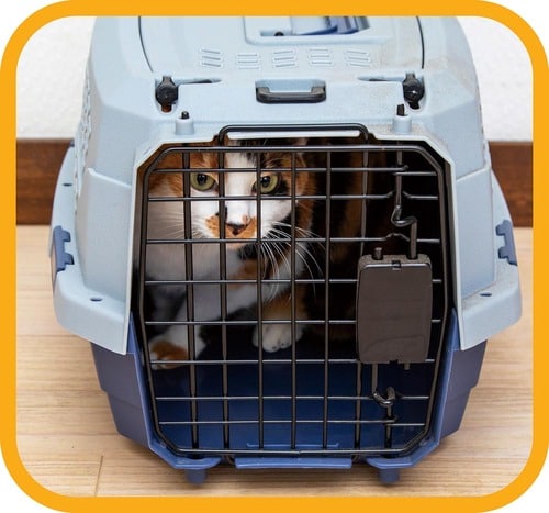 ドアはスチール製で頑丈 猫用キャリーバッグおすすめ イメージ